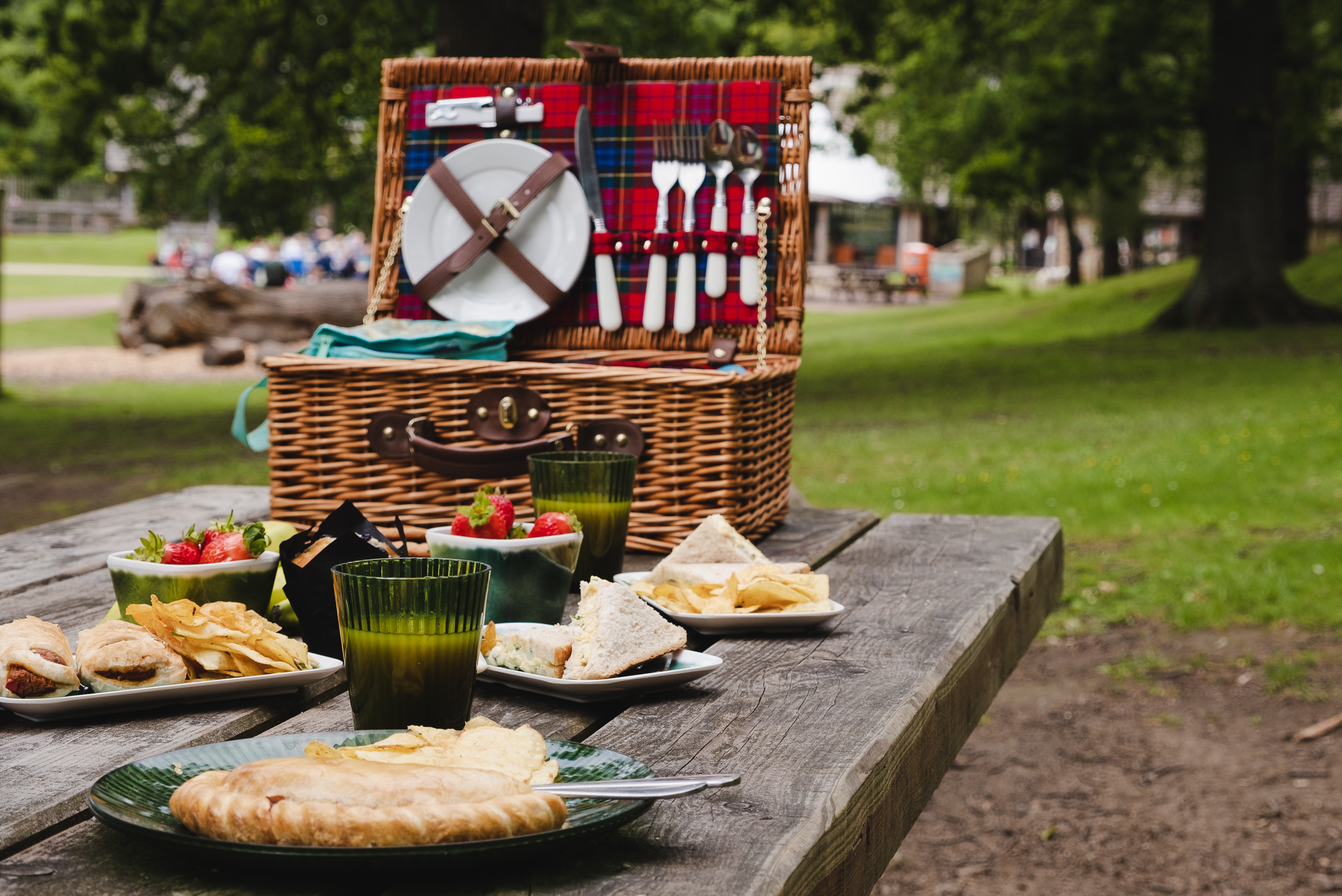 Picnics and barbecues Forestry England